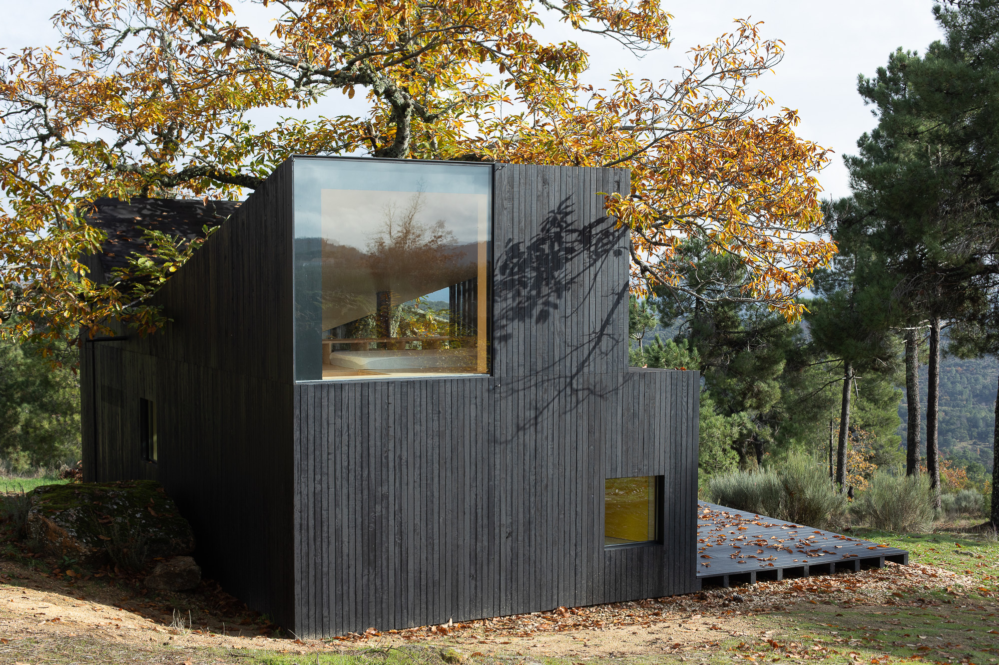 栗树屋丨葡萄牙丨João Mendes Ribeiro-24