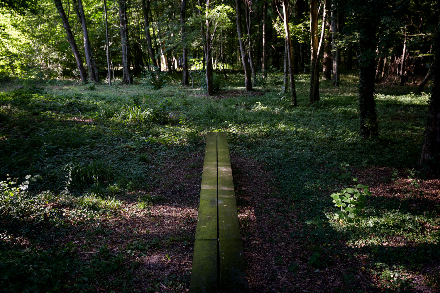 法国墓地和纪念馆周围景观-24