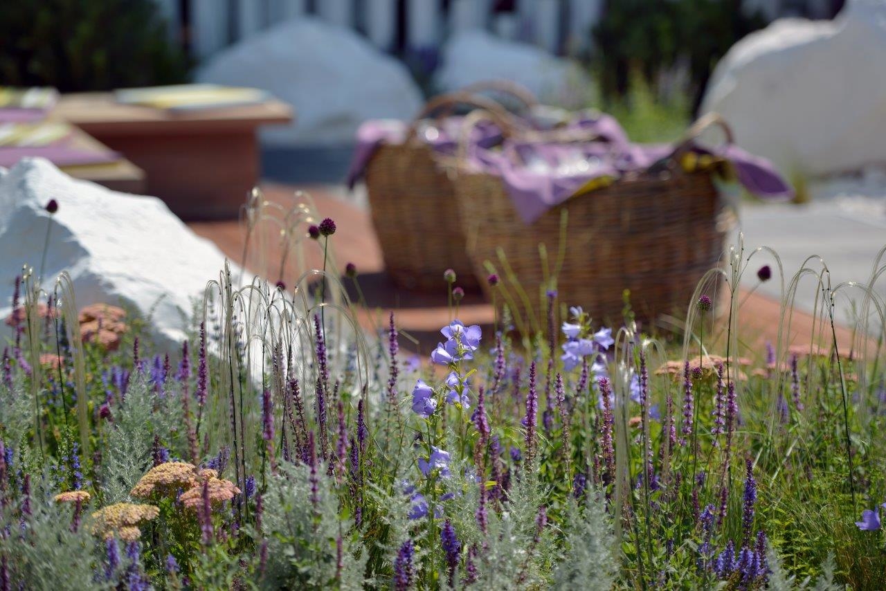 Сад трав: проект для выставки Moscow Flower Show-2