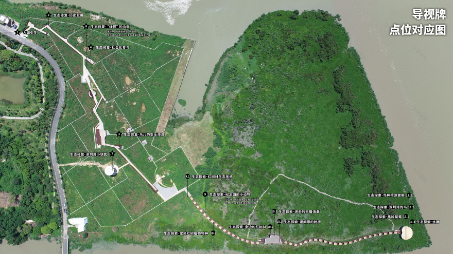 深圳红树林生态公园户外科普互动导视设计丨中国深圳丨共生领域(北京)文化传媒有限公司-10