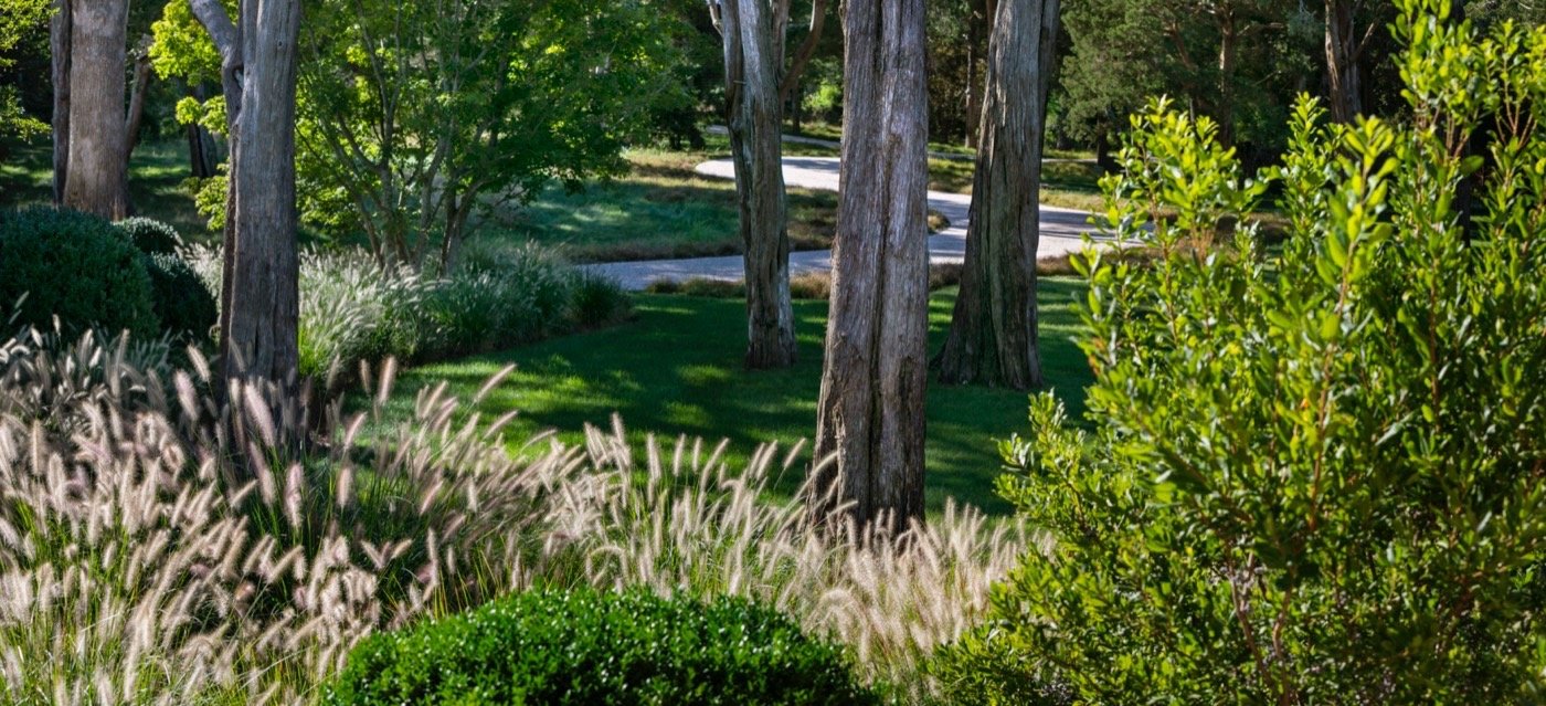 美国佩科尼克湾的 8 英亩地块景观-33