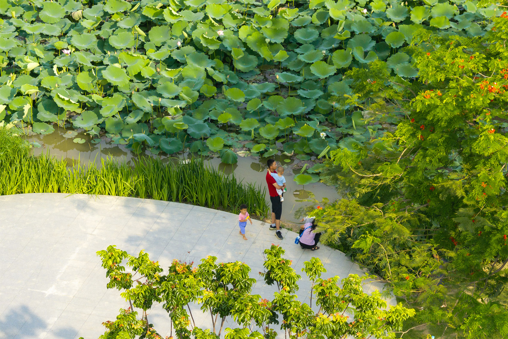 北滘镇“十村示范”北滘社区南塘片区(一期)提升项目丨中国佛山丨广东天元建筑设计有限公司（睿住天元）-25