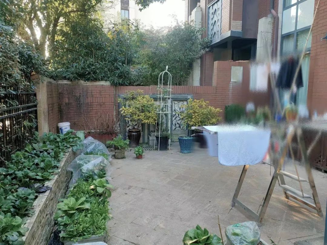 蓝莓花园 · 60㎡小院改造丨中国上海丨OneGarden-11