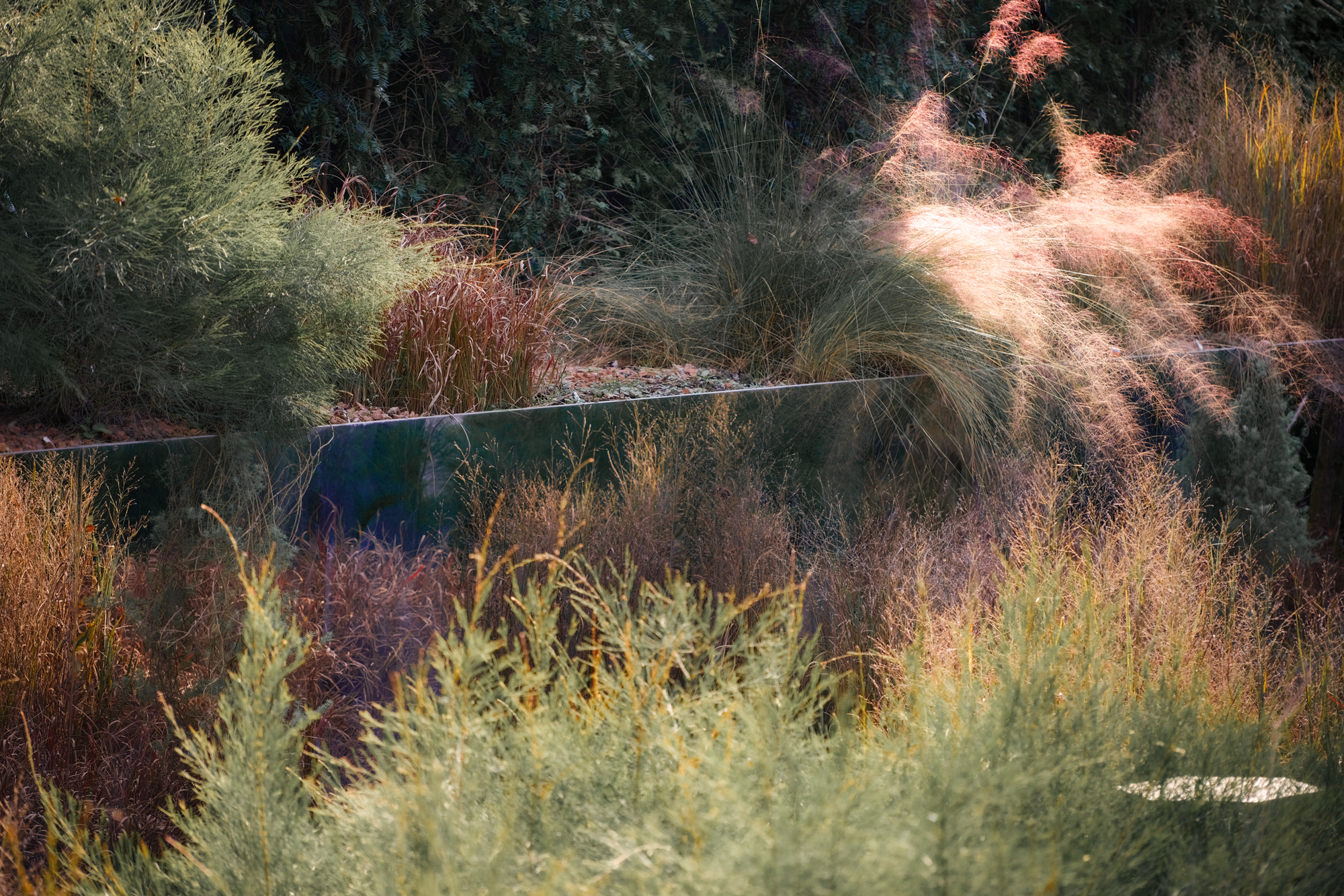 万华麓湖C26样板岛 · 钰屿珑湾丨中国成都丨成都魏玛 & A.t.e.l.i.e.r.R-51