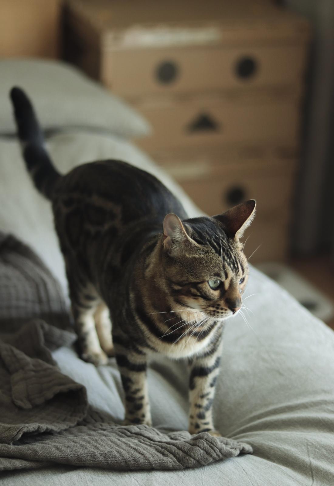 138㎡原木风舒适家丨造梦家施工-94