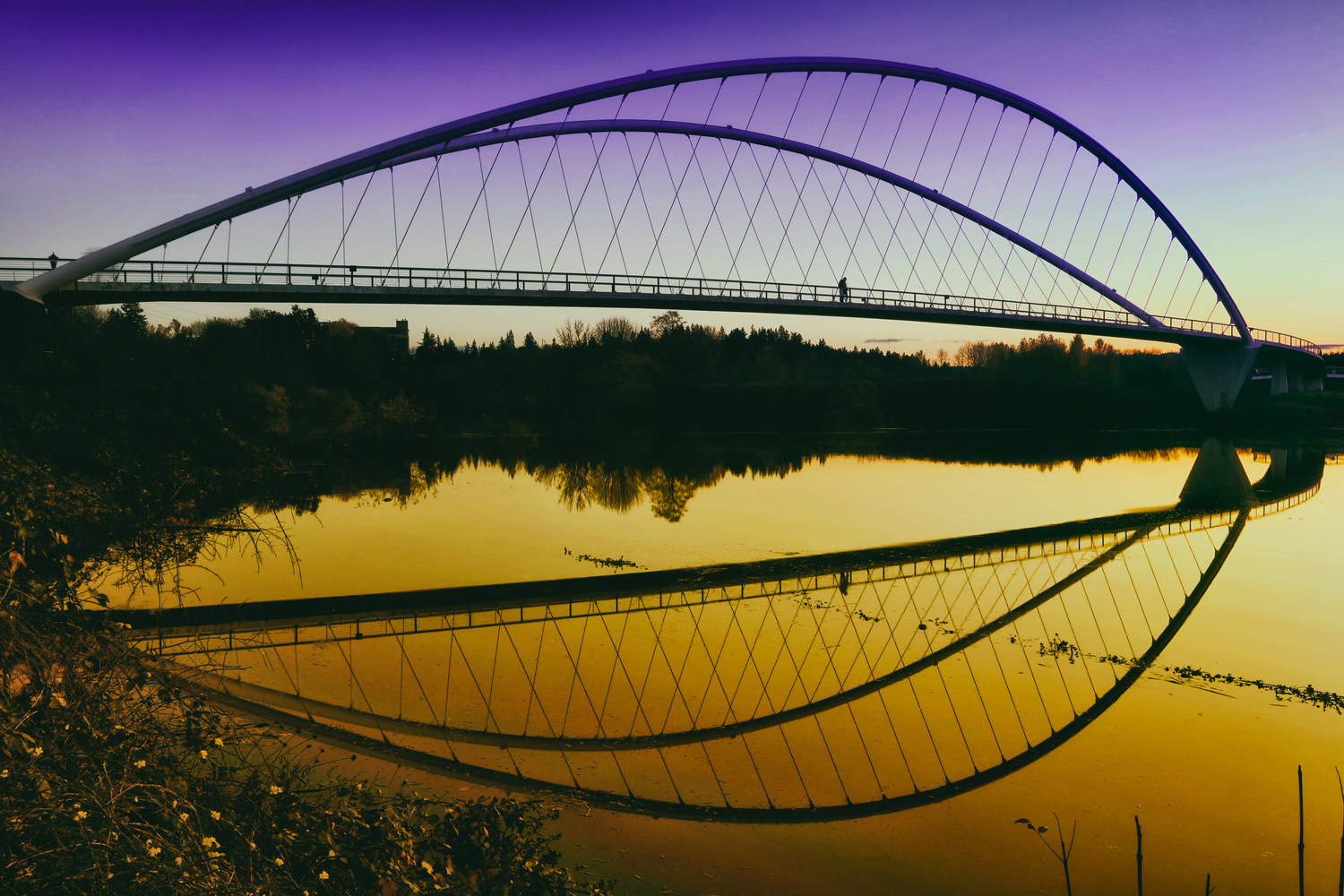 美国彼得·考特尼·明托岛自行车和人行天桥-41