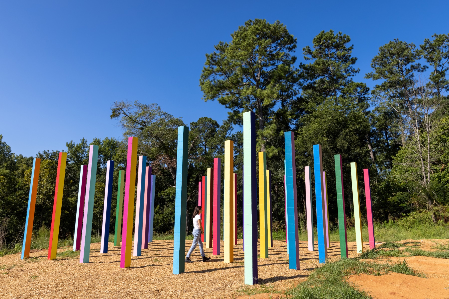 彩虹森林丨美国丨Office Kovacs-48