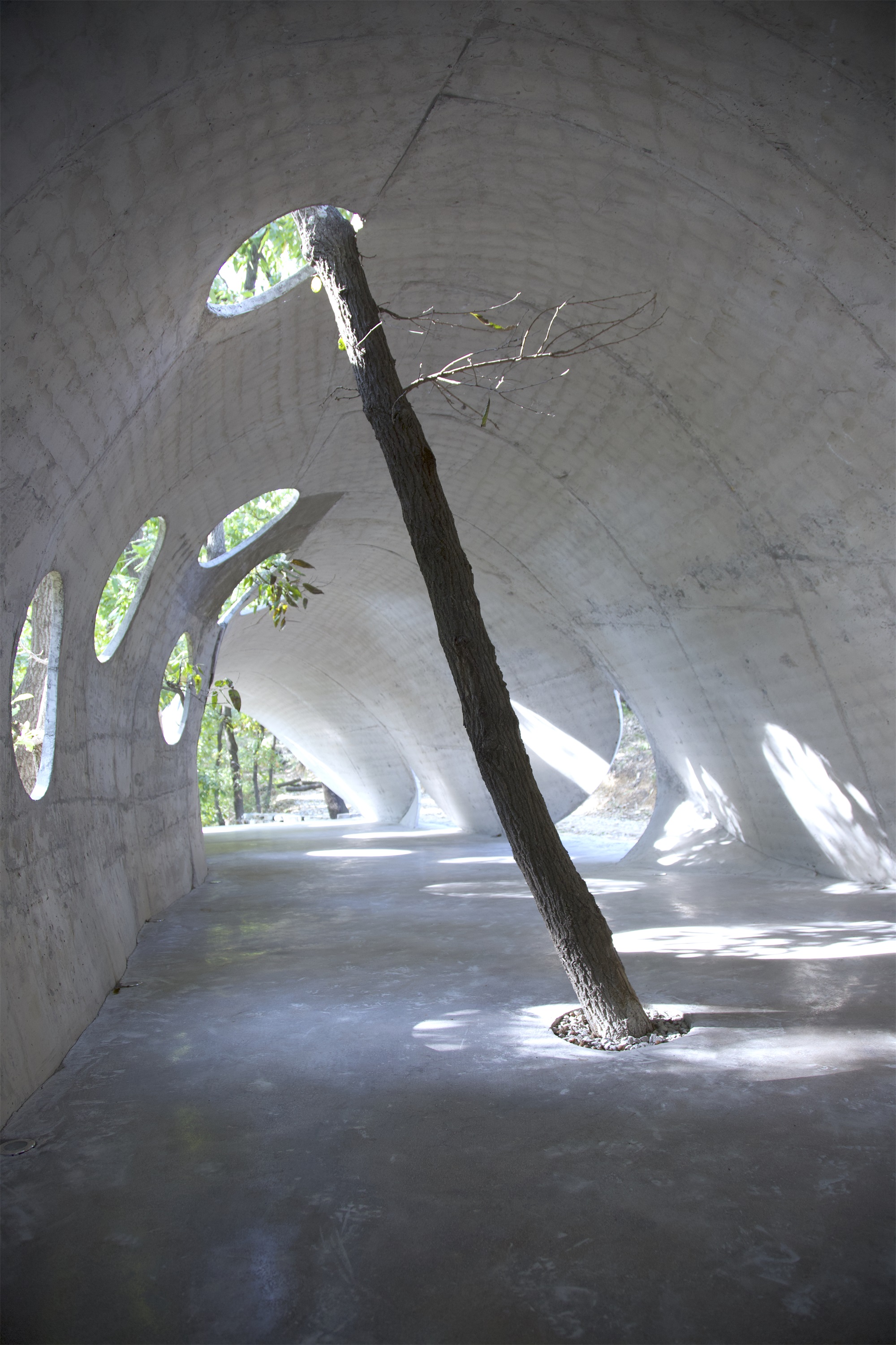 卧虎藏龙美术馆丨中国日照丨孔祥伟工作室-120