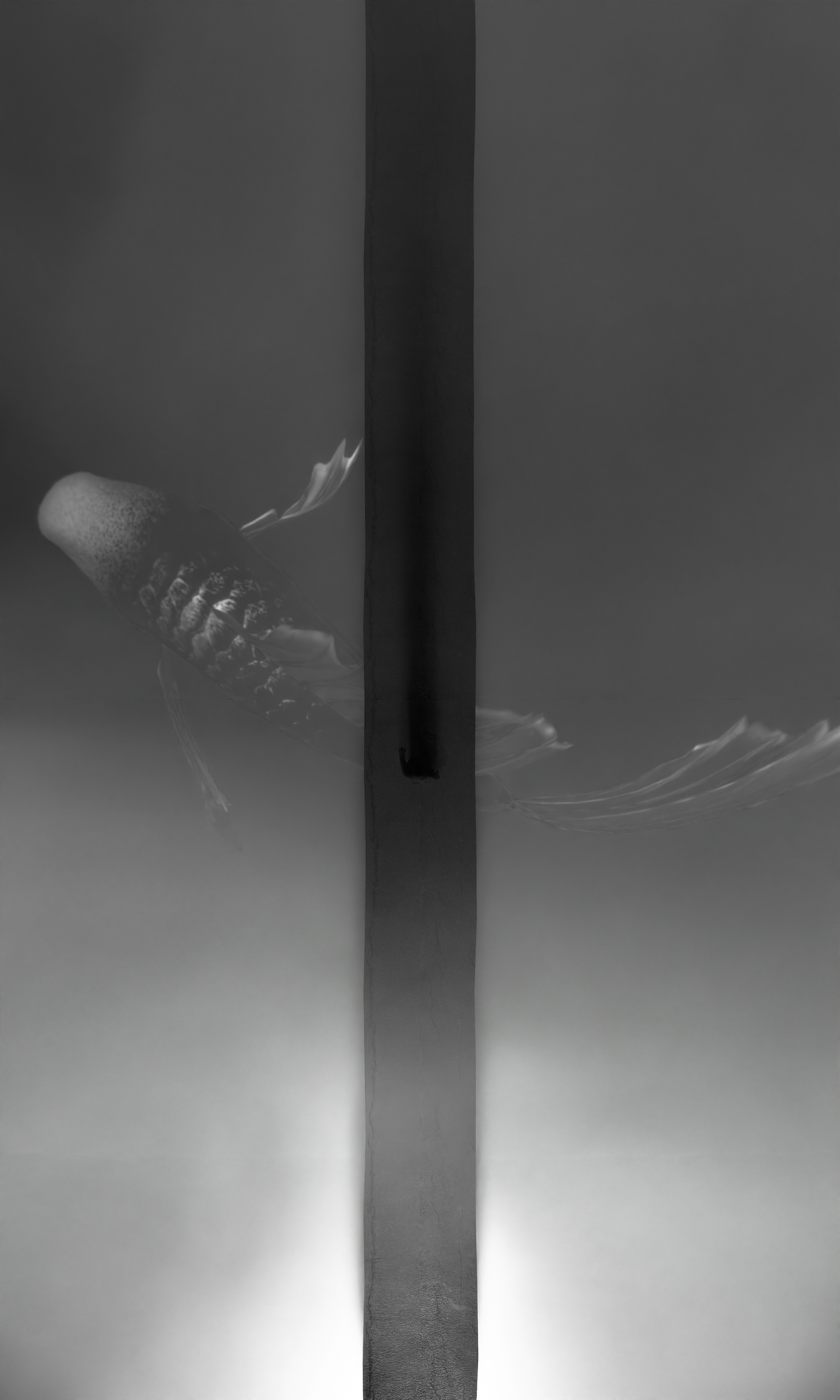 SEODAMHWA 3D MOTION-2