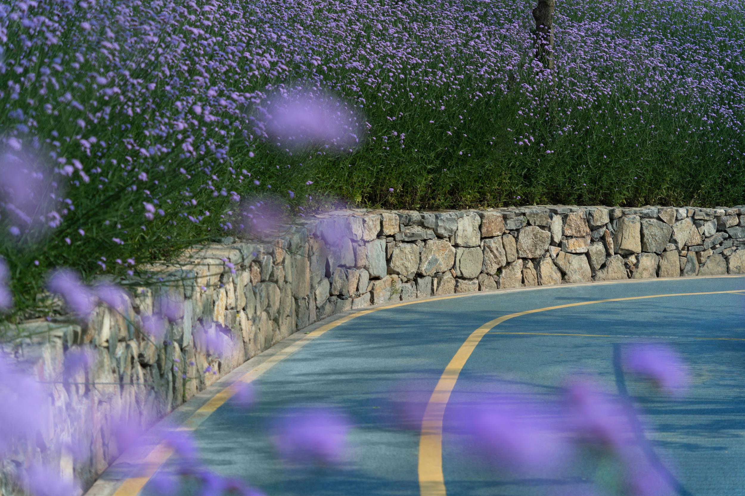 重庆华侨城滨江休闲带丨中国重庆丨WTD纬图设计-42