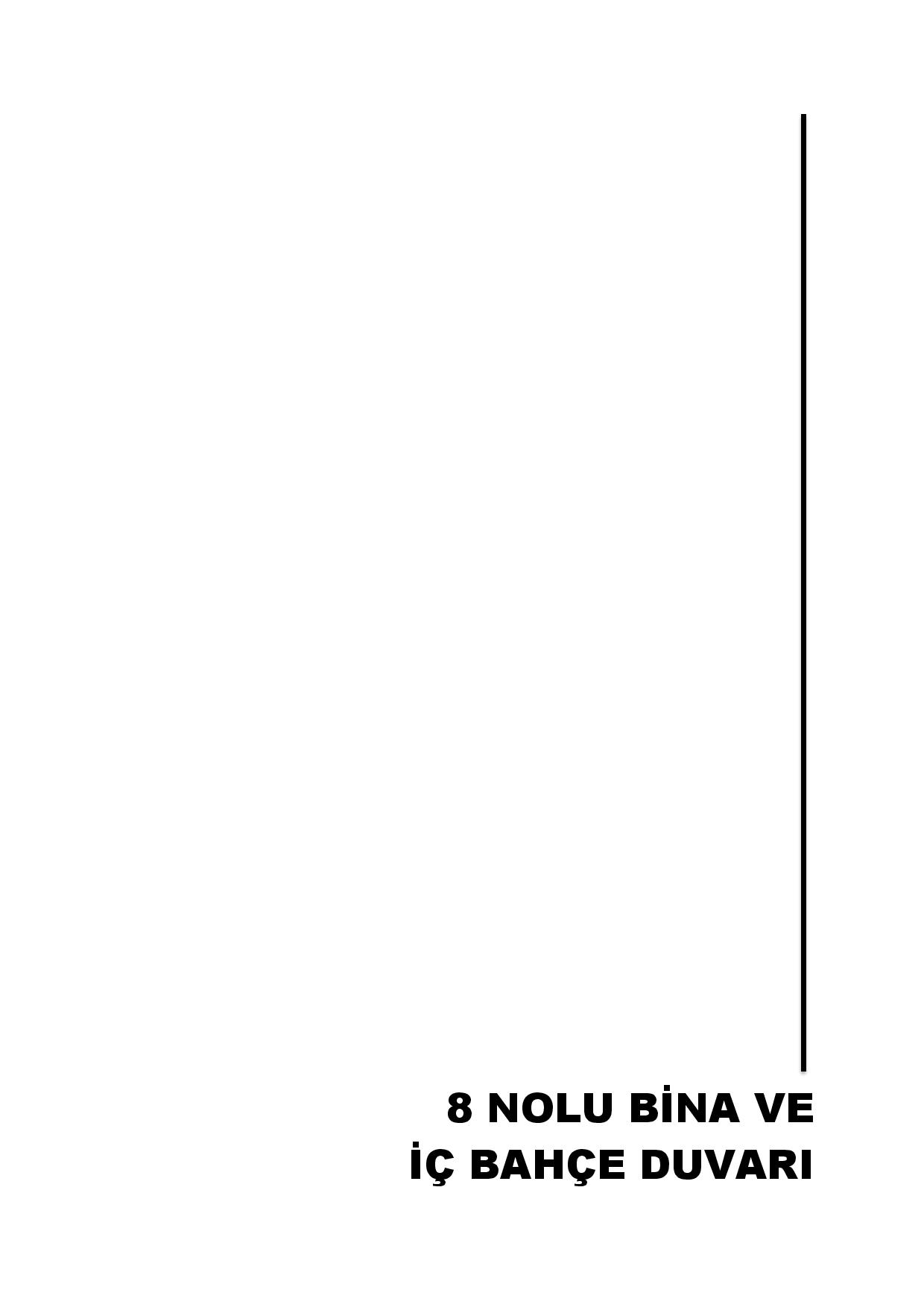 卡米卡高中历史墙保护-15