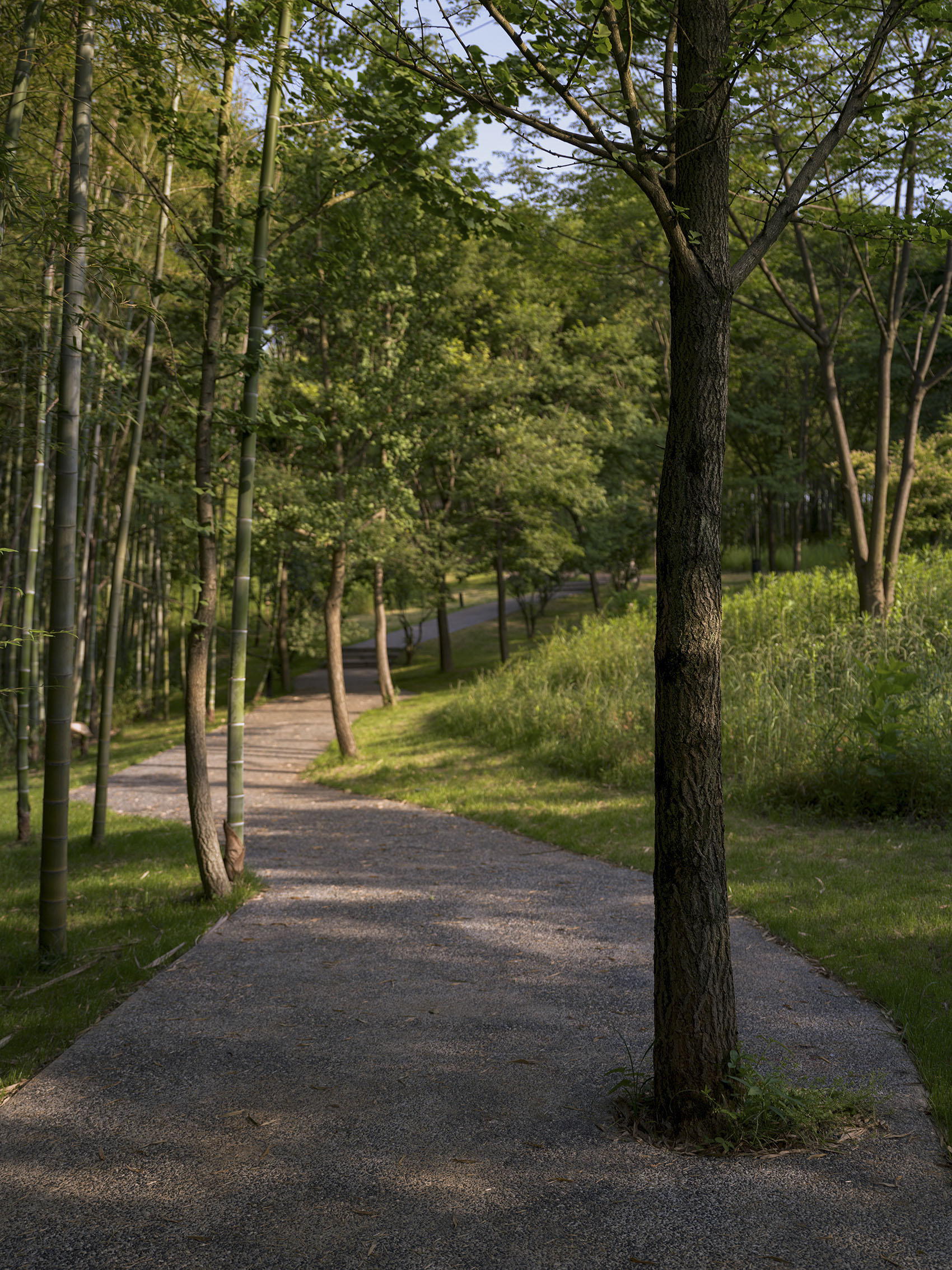 荒野中的明灯 · 宜兴窑湖镇青鱼湖公园丨Change Studio-30