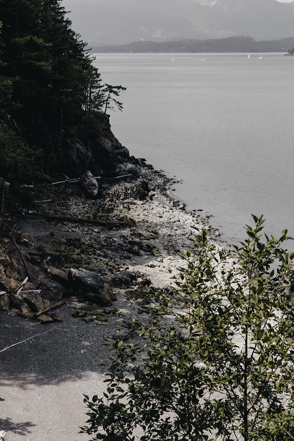 海岛木屋室内改造丨加拿大丨SM STUDIO 事务所-3