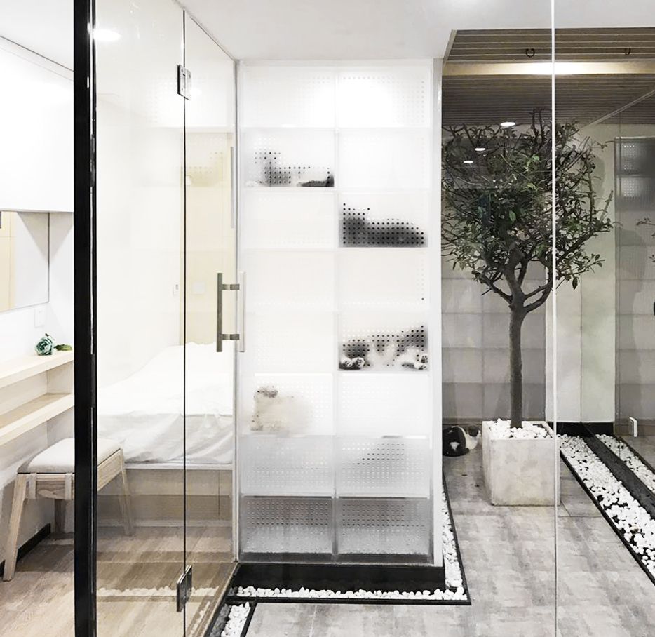 猫宅(Cat House)-55