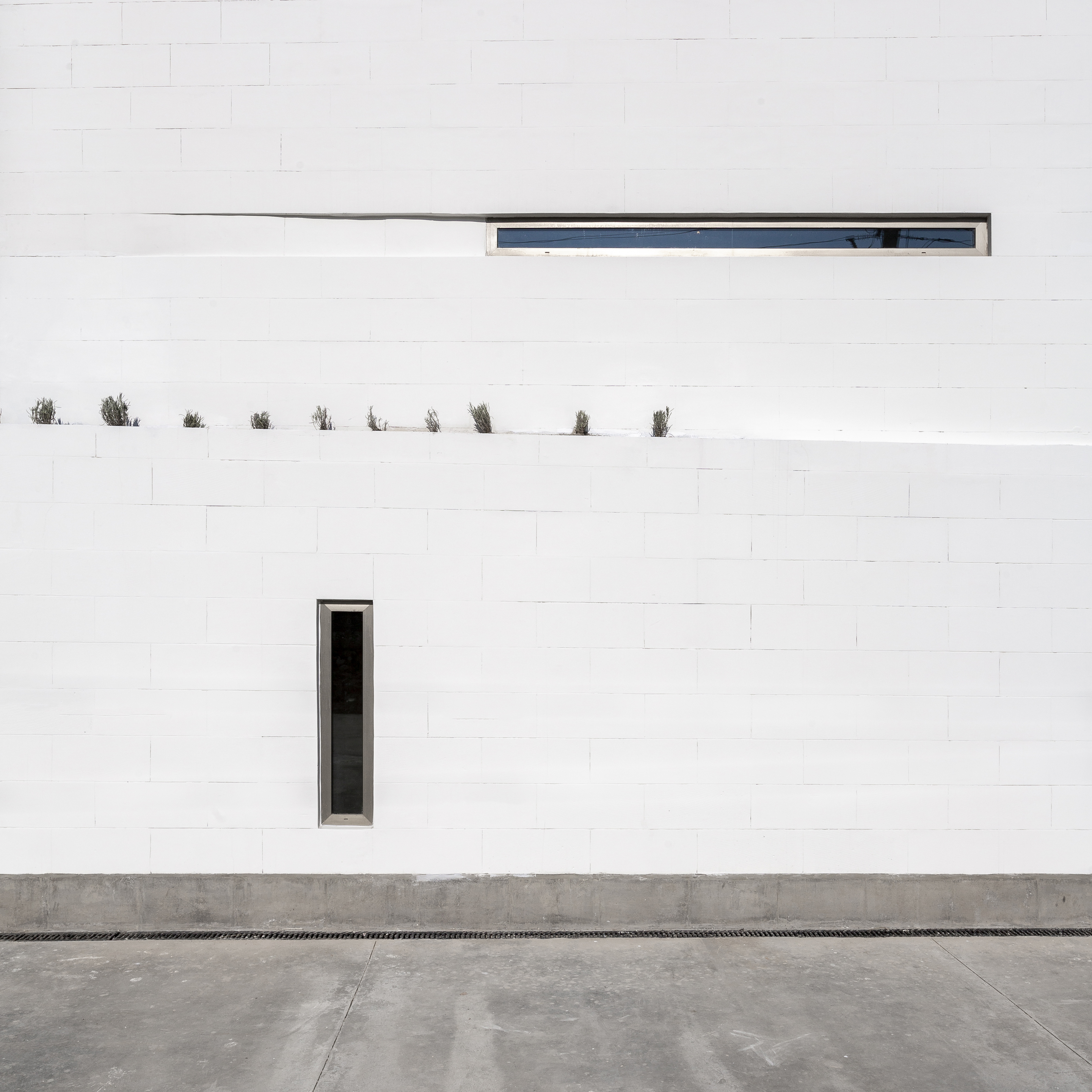 伊朗 Shamim 聚合物工厂丨Davood Boroojeni Office-30