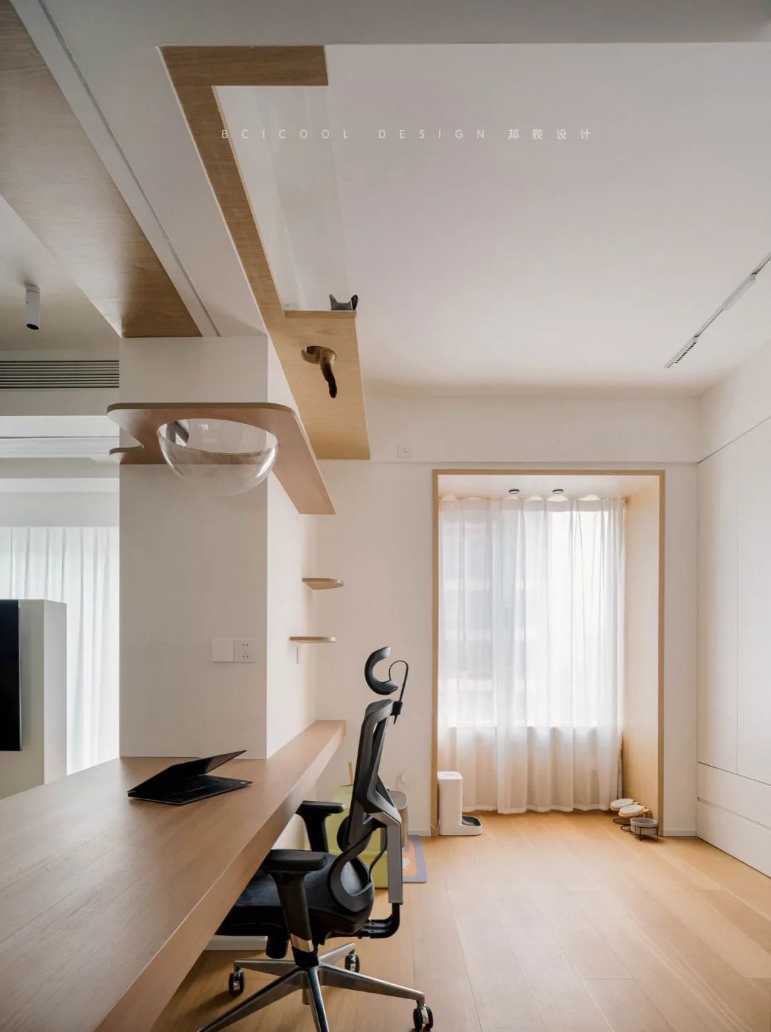 夫妻+猫之屋！去风格化，自然、松弛、可以奔跑的大储物LDK之家-75