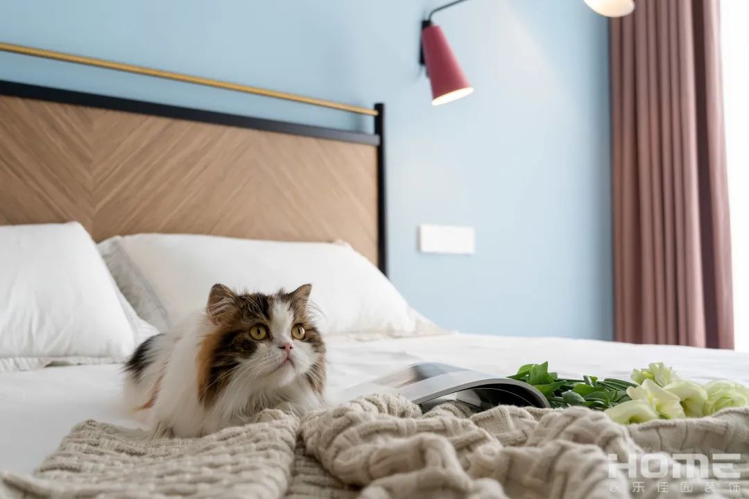 实景新作|一米阳光-25