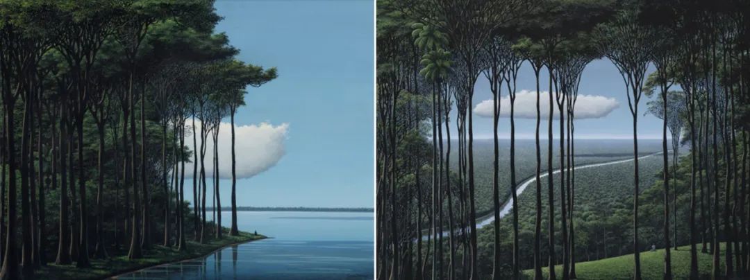 莫干山秘境杉林,尽享自然之美-17