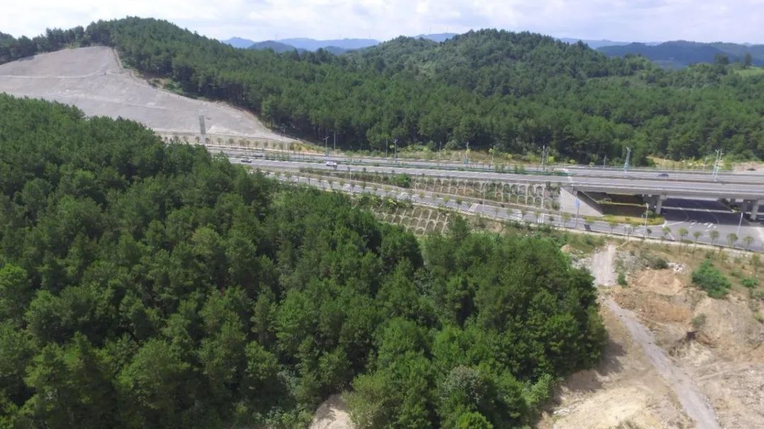 贵阳融创九宸府 | 山水格局中的东方美学设计-38