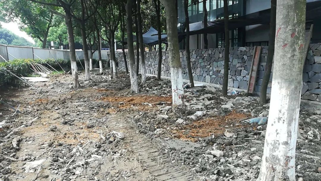 迪赛·东篱 | 闲田信步，采菊东篱-25