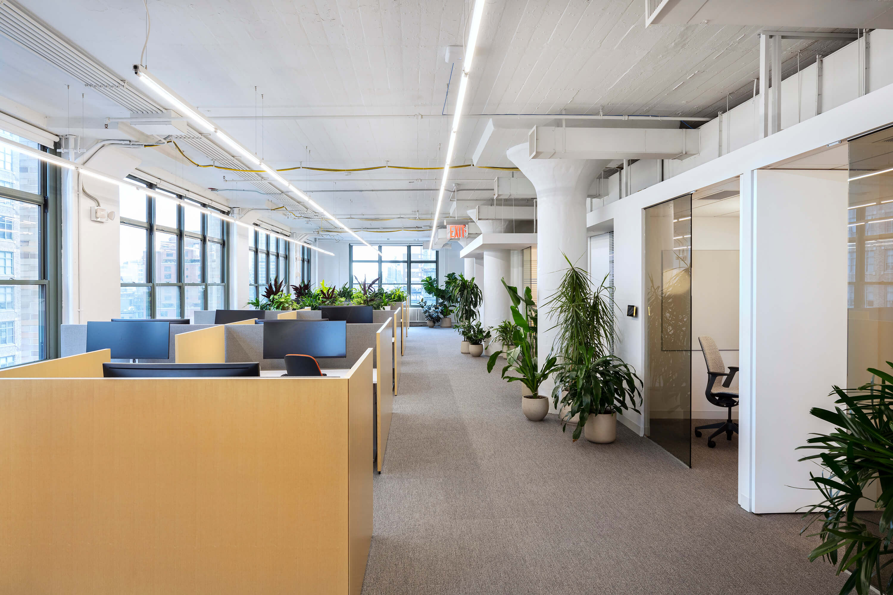 200 Hudson | Standard Issue-11