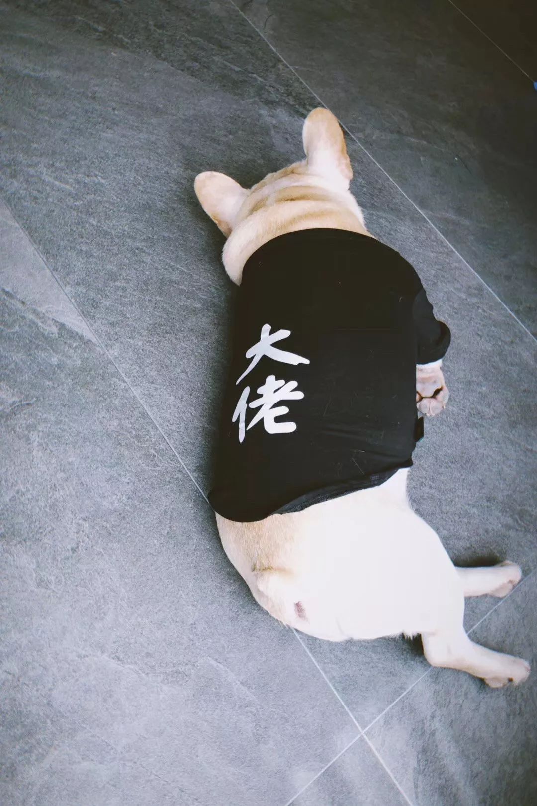 222㎡现代舒适家,充满生活趣味的精心设计-0