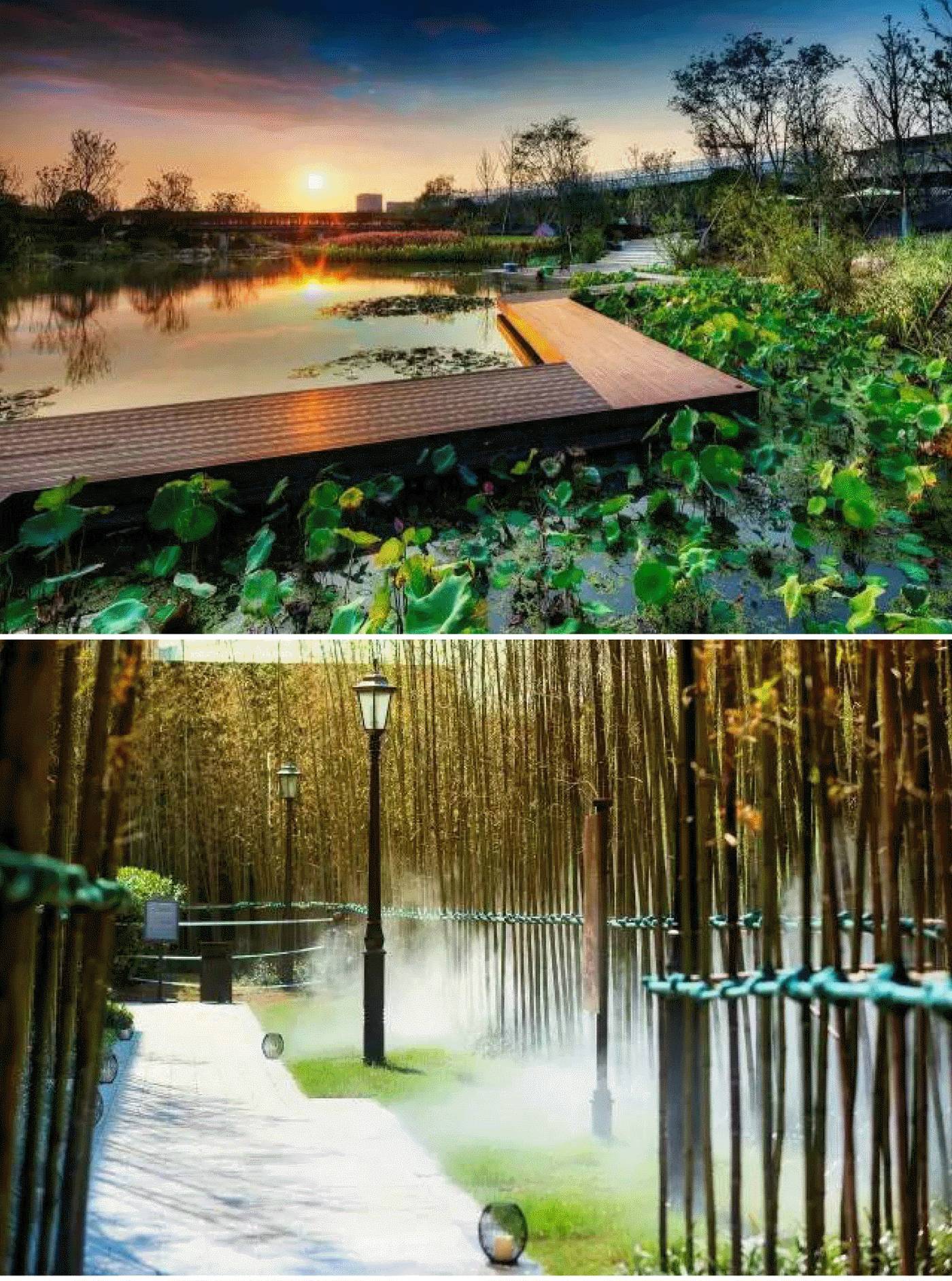 万科安品园舍别墅-86