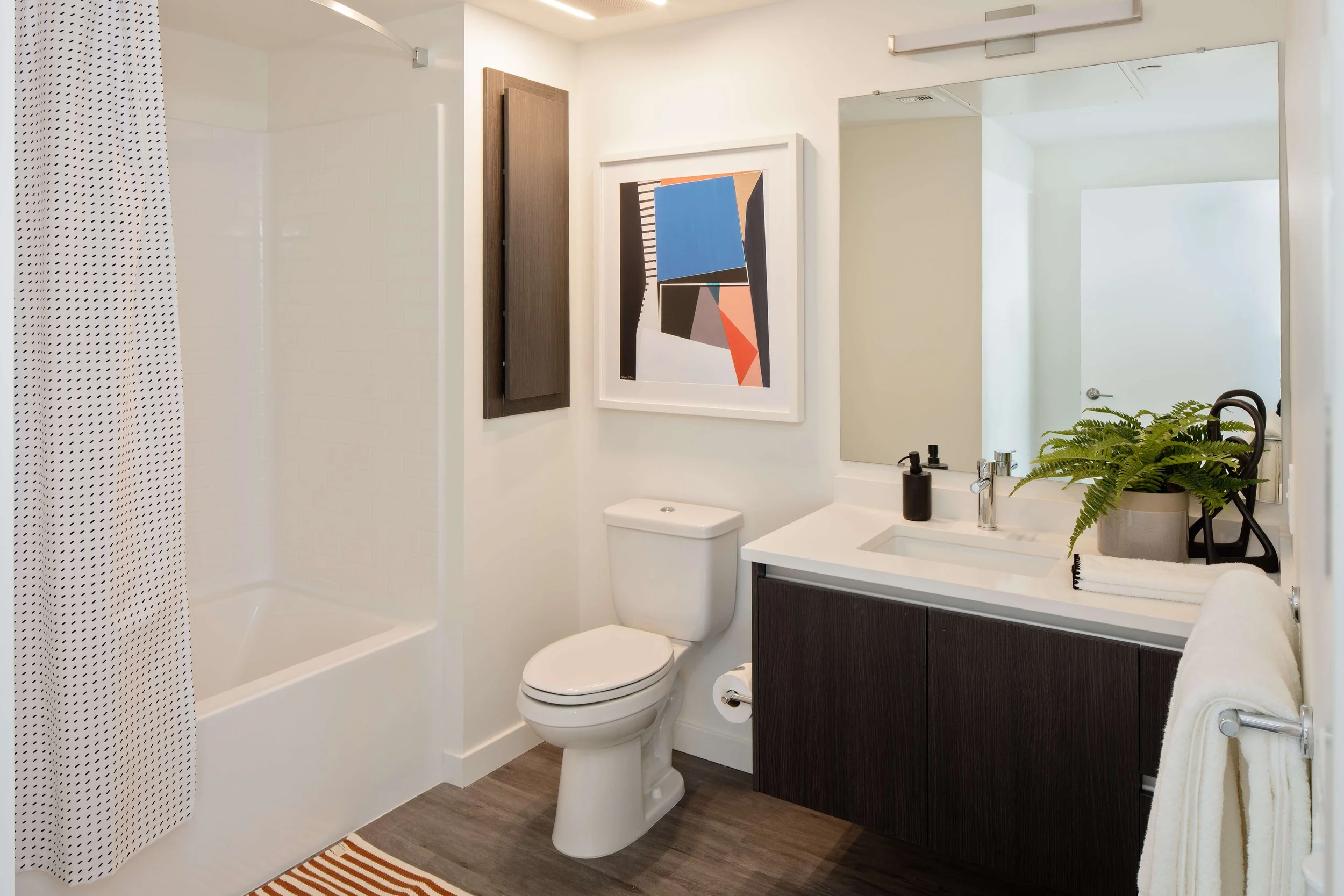 丨美国加利福尼亚-69