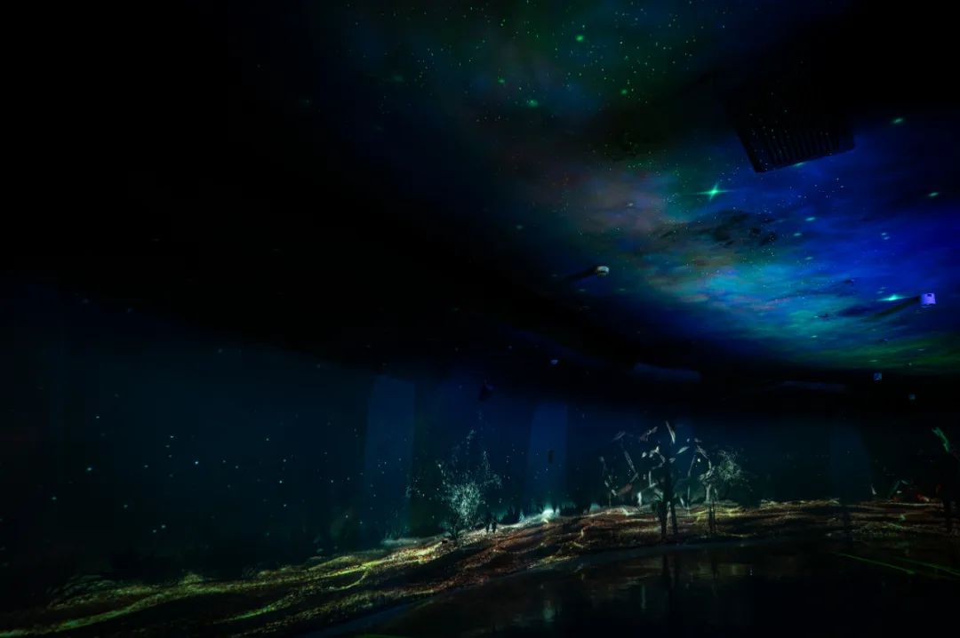 RDI瑞国际照明设计|以光为笔，绘自然奇境——世博文化园温室植物园夜游照明设计解析（上）-19