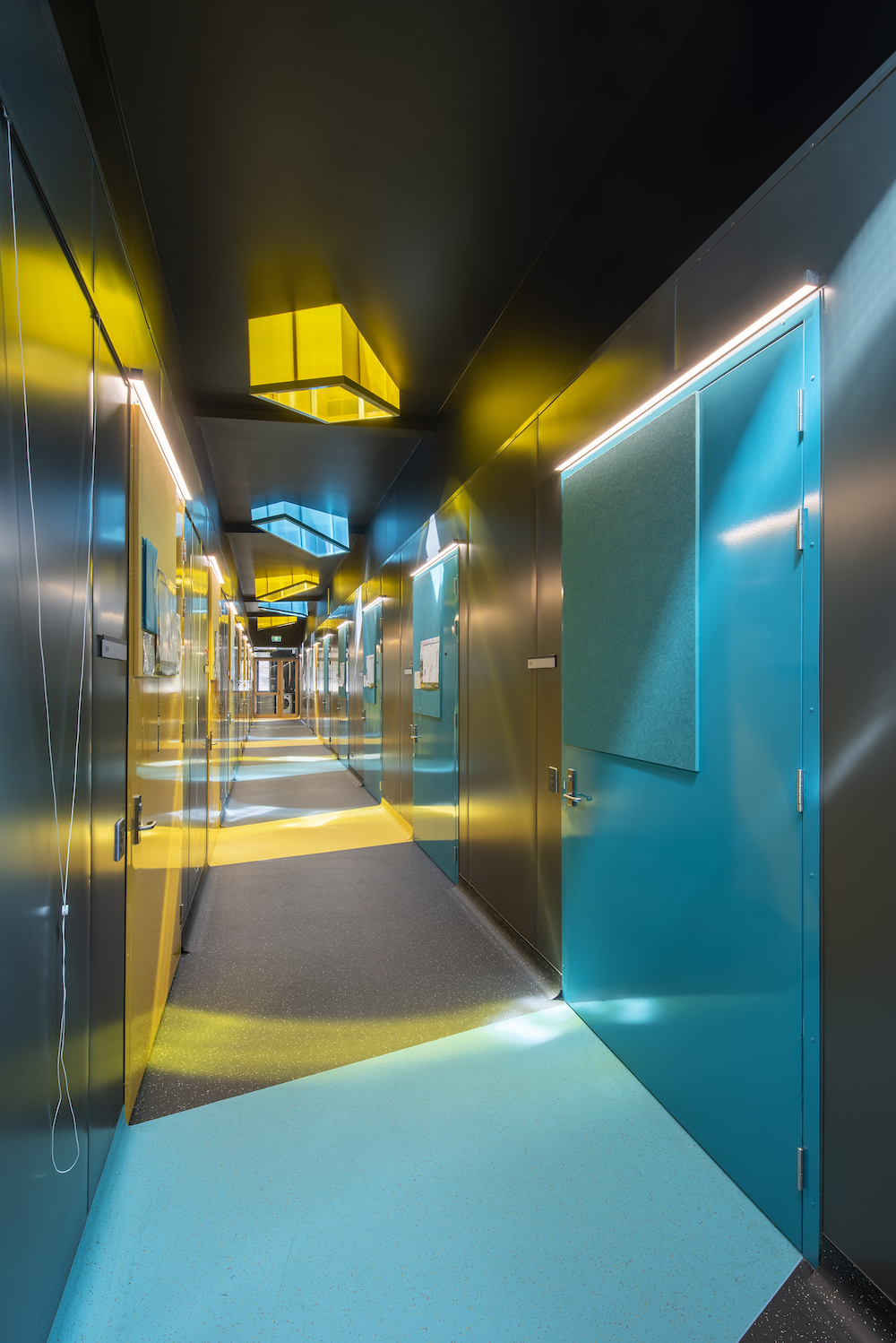 Flinders University Biodiversity Facility | H2o Architects-12