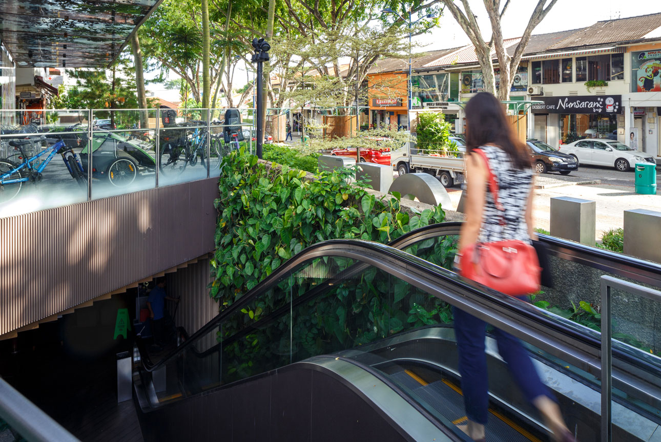 Tranquility within a Landscaped Courtyard-6