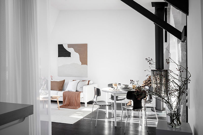 斯德哥尔摩屋顶公寓——黑白浪漫空间-2