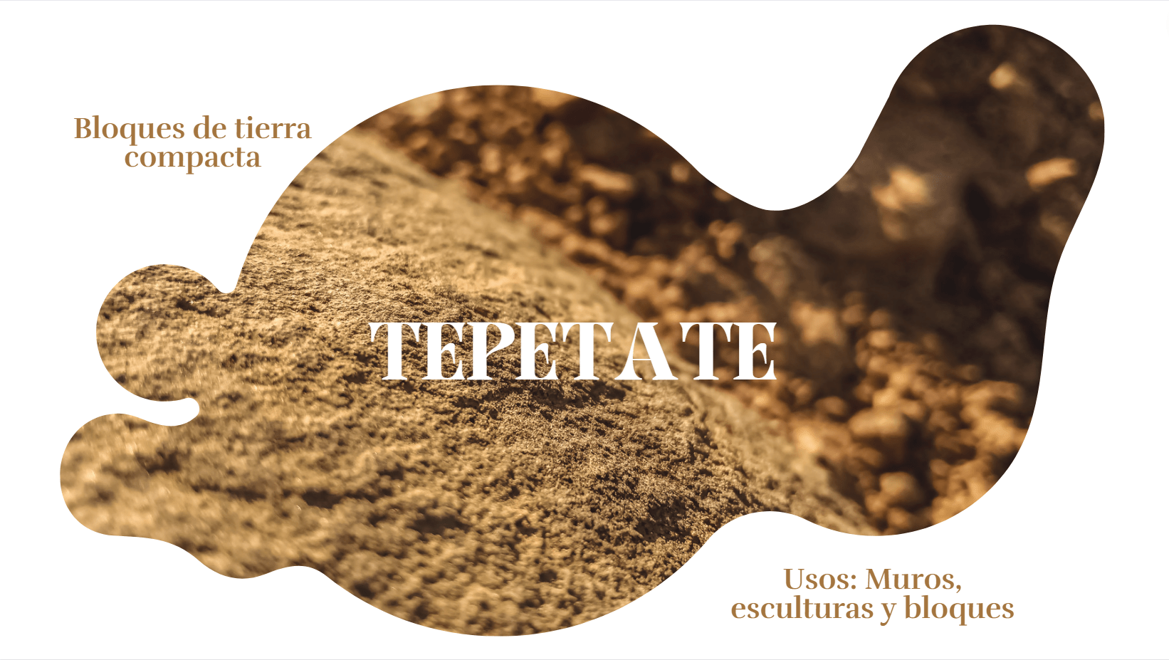 从材料开始的空间丨ANDREA WILLIAMSON CHAMÁS-12