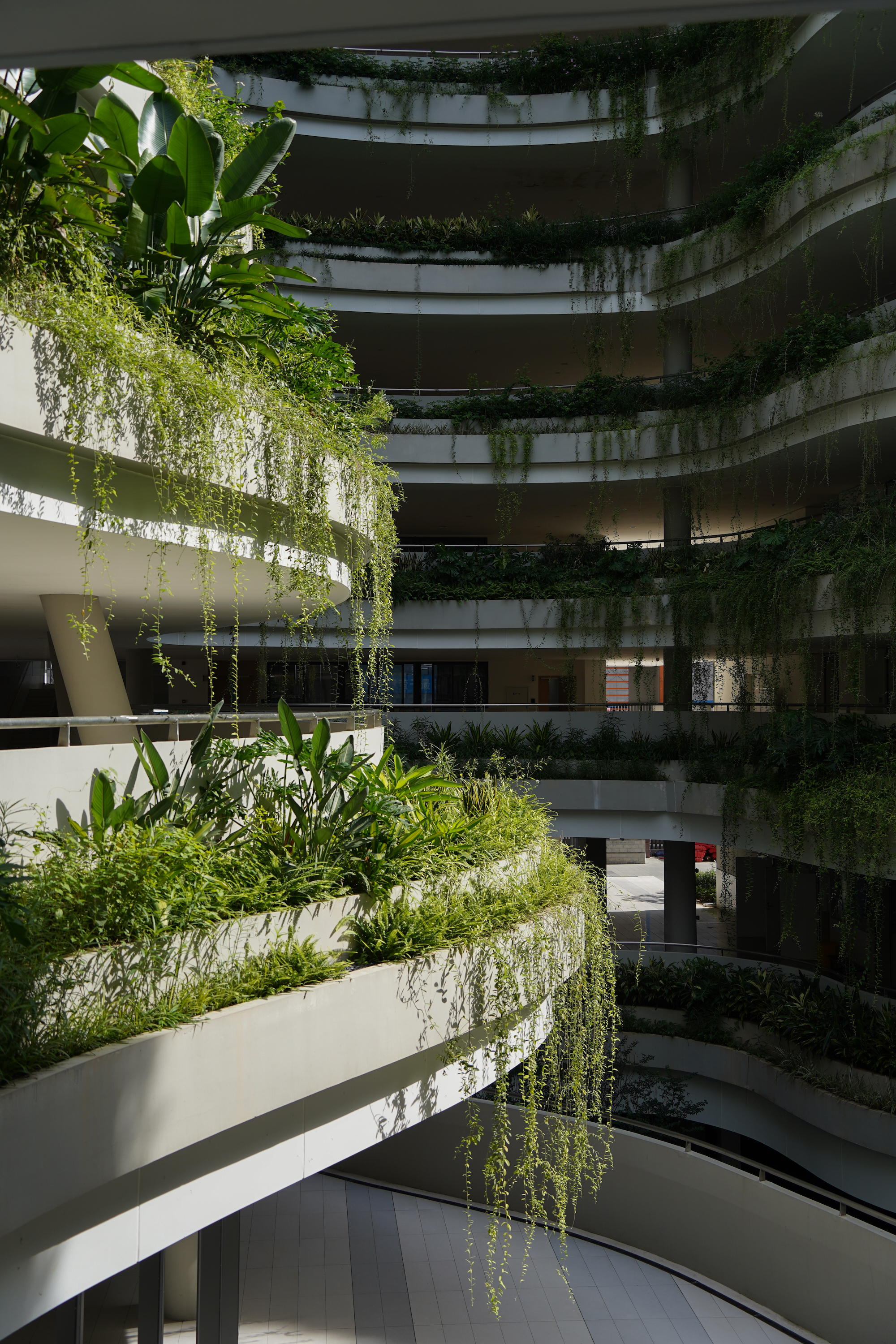 红岭教育集团 华富实验学校丨中国深圳丨大小景观,深圳市建筑设计研究总院有限公司,广州天泓-55