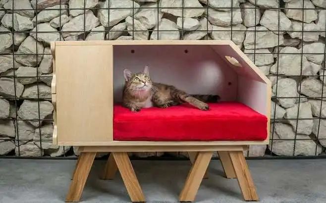 庭院宠物之家 | 打造宠物宜居的户外空间-70