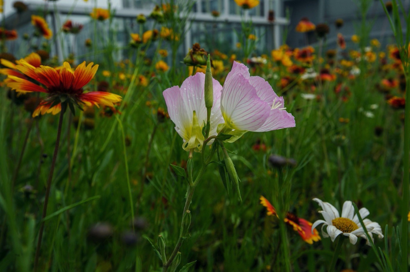 上海创新聚集地 | 天地区域 1 号-29