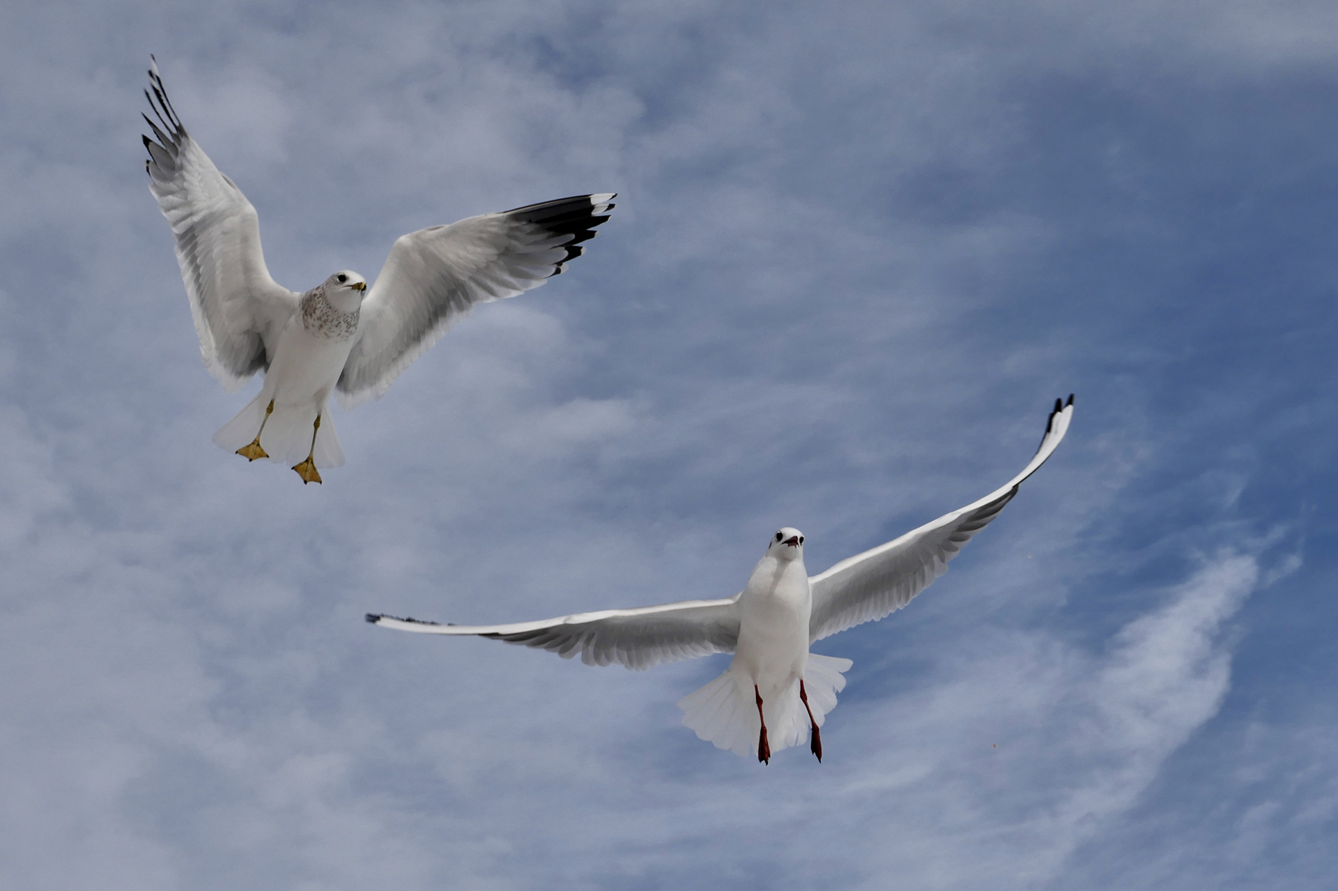 无明确体现丨无相关信息-3