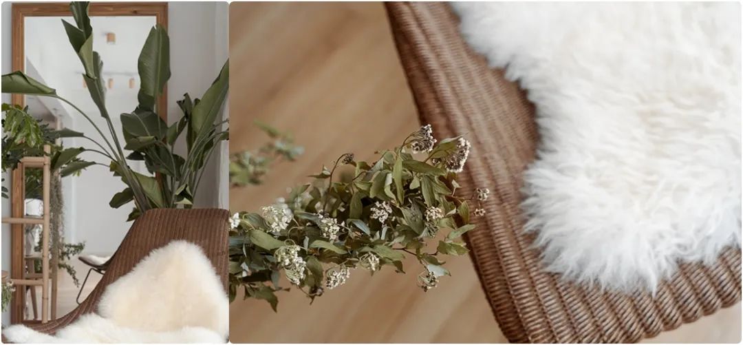 梦幻樱花，浪漫满屋-41