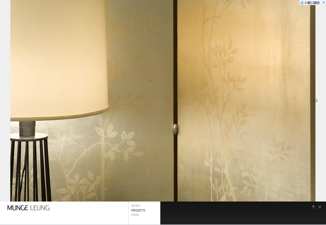 Munge Leung（加拿大）合集-17