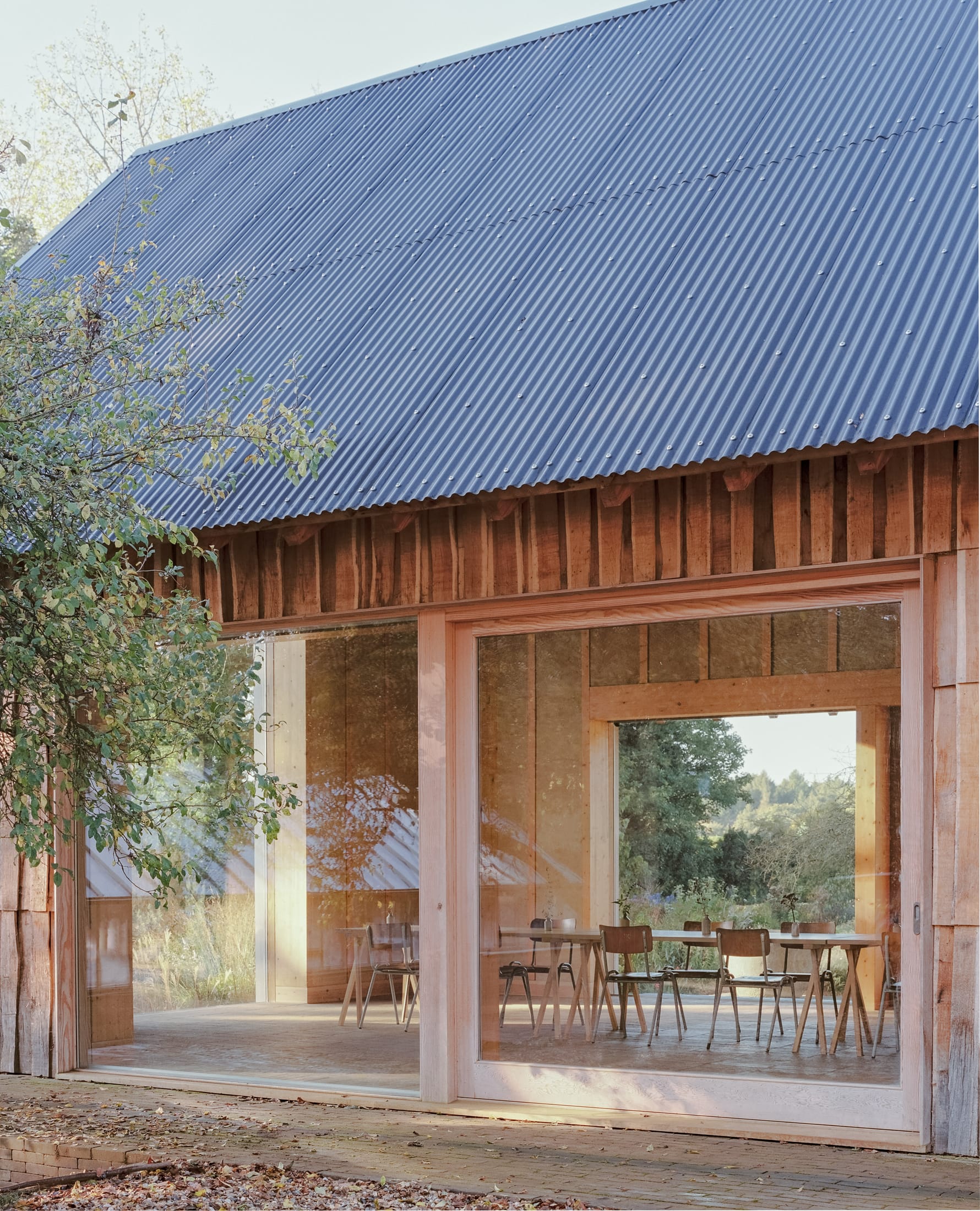 果园丨英国丨Okra-1