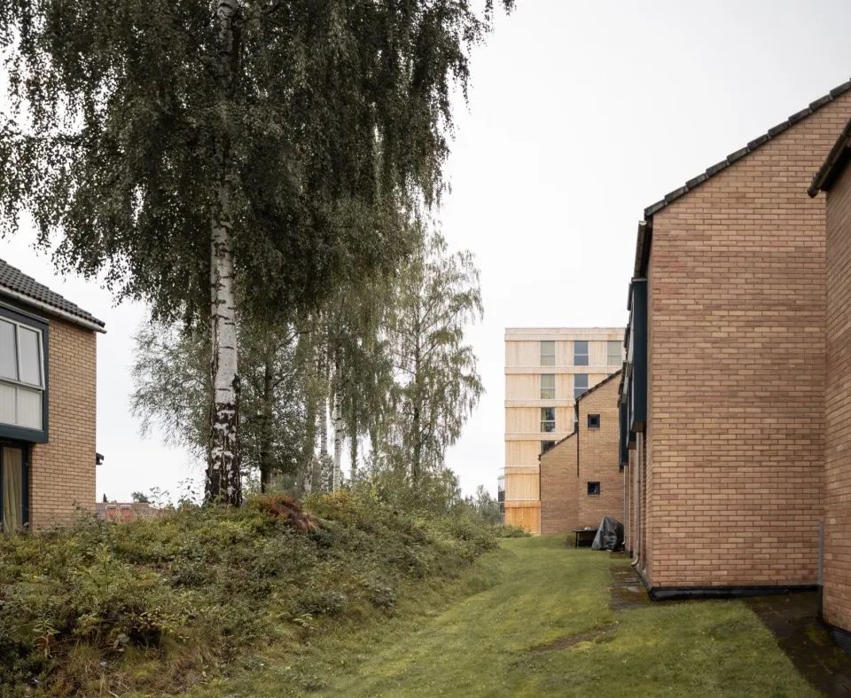 Kallerud学生公寓：模块化木结构住宅-23