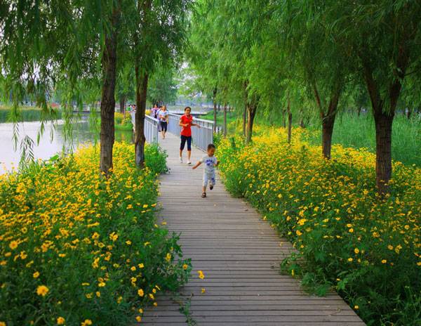 Sanlihe Greenway（迁安三里河绿道）丨中国河北丨Turenscape-17