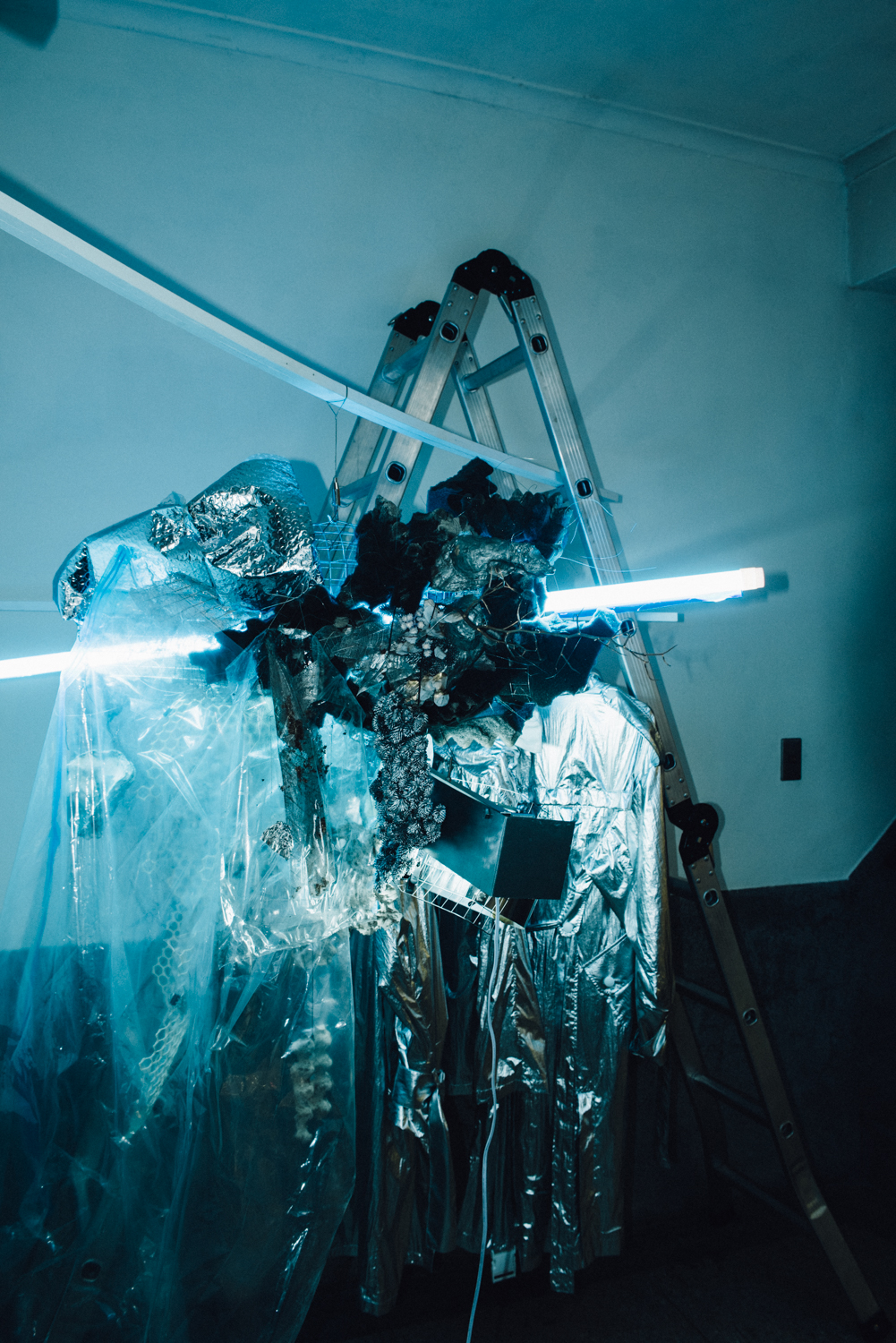 nonesuch Market - 質物霽畫 BOTANIPLAN VON LEE CHI  -6