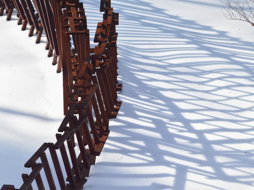 Farrar Pond 森林住所景观丨意大利马萨-22