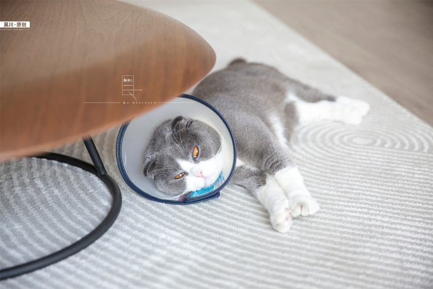 珑门名苑丨 112m²四室两厅,夫妇俩与猫咪的简约自然生活!-56