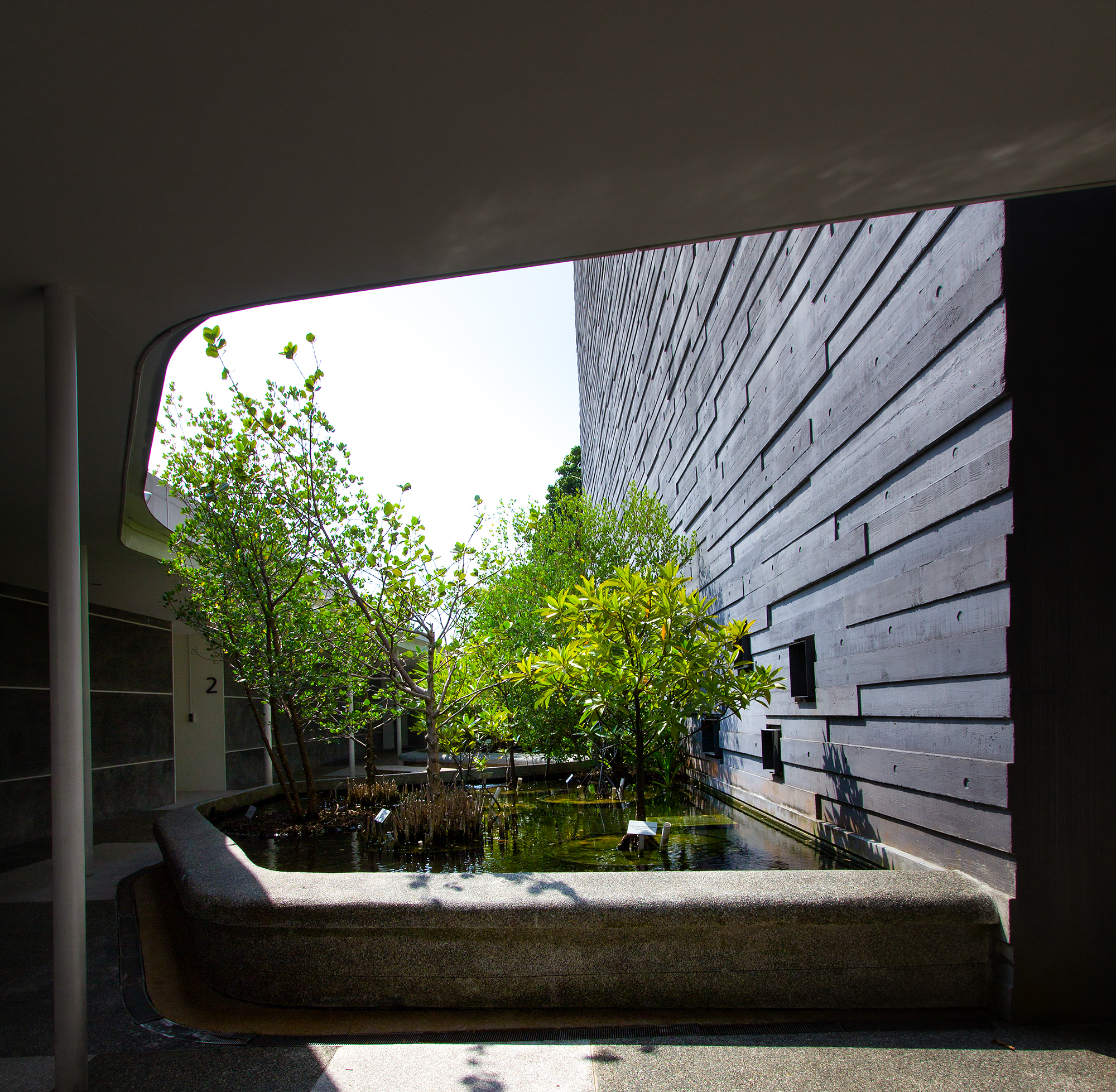 李光前自然历史博物馆丨新加坡丨Tierra Design (S) Pte Ltd-16