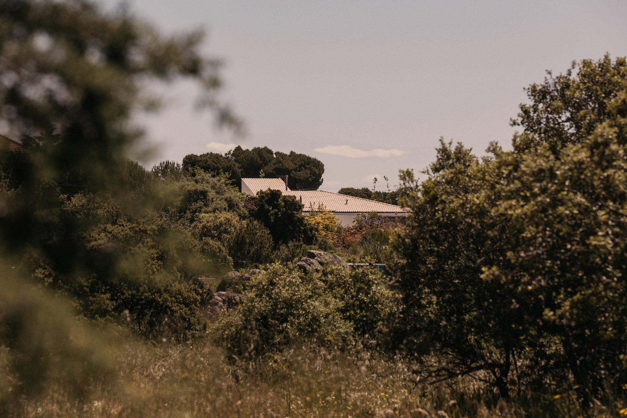 丨西班牙马德里丨delavegacanolasso-32