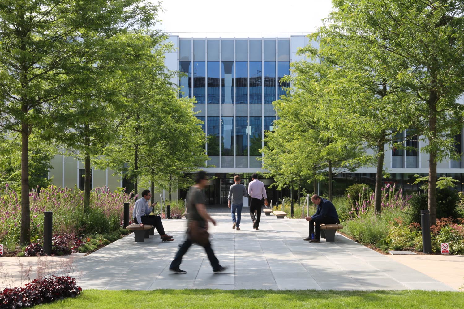 天空英国总部 | 绿色生态的办公环境-10