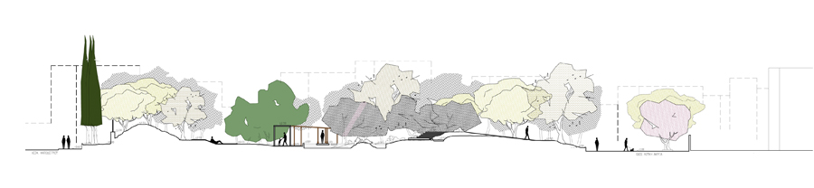 Filothei公共绿化区域改造丨希腊雅典-17