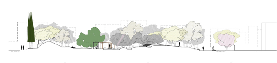 Filothei公共绿化区域改造丨希腊雅典-17